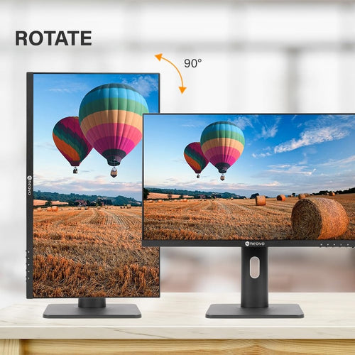 24 Inch Monitor with Height Adjustable Stand