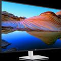 43 Inch 4K Monitor