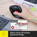 Ergonomic Trackball for Wrist Strain